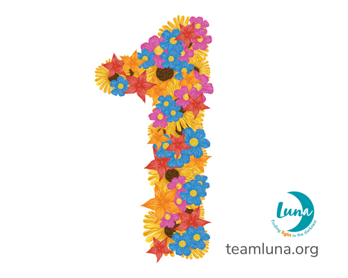 Luna Foundation's first anniversary. A graphic image featuring a flowery number 1 in bright colours, the Luna logo and website teamluna.org